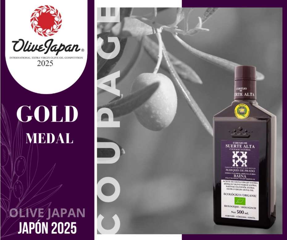 Coupage Natural galardonado en Olive Japan 2025